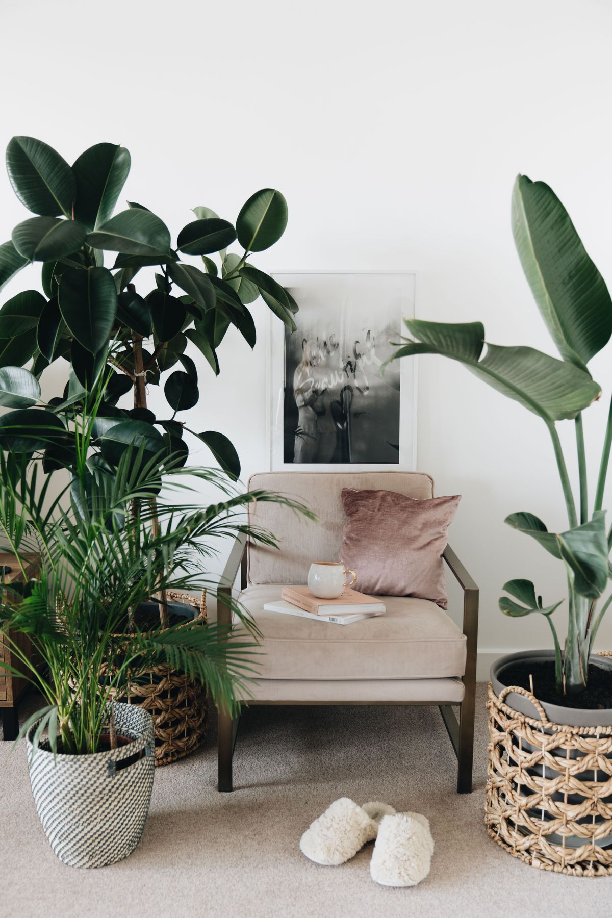 Therapist Room
