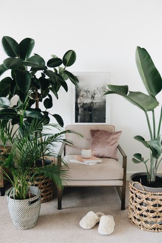 Therapist Room